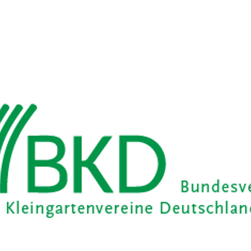 BKD informiert 12/2025