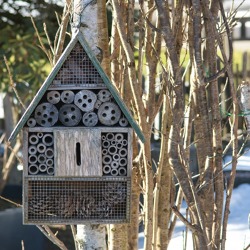 Bohren und Sägen für Wespen und Bienen!